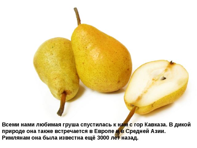 Мультимедийное пособие доя детей старшего дошкольного возраста. Тема: "Сад и огород"