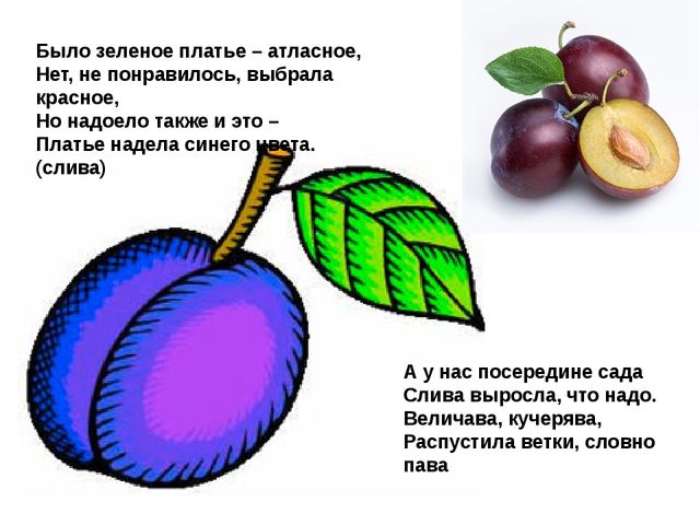 Мультимедийное пособие доя детей старшего дошкольного возраста. Тема: "Сад и огород"