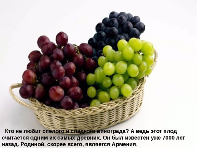 Мультимедийное пособие доя детей старшего дошкольного возраста. Тема: "Сад и огород"