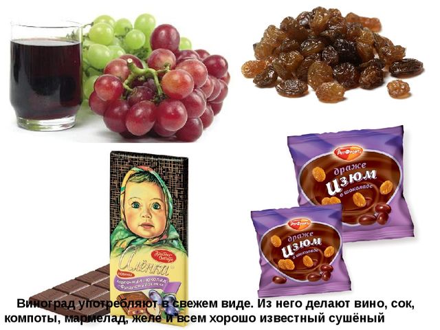 Мультимедийное пособие доя детей старшего дошкольного возраста. Тема: "Сад и огород"