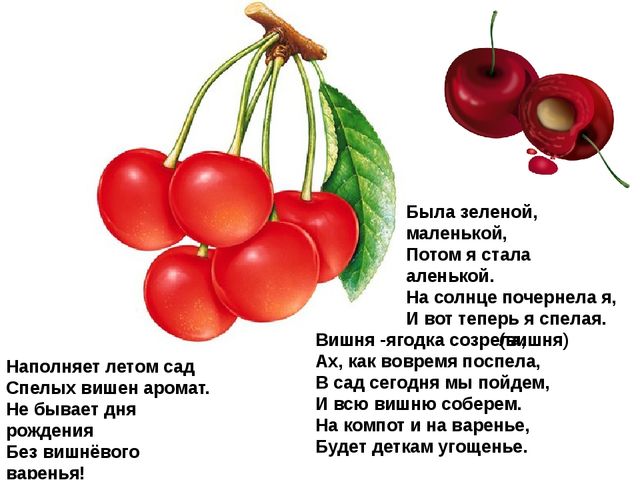 Мультимедийное пособие доя детей старшего дошкольного возраста. Тема: "Сад и огород"