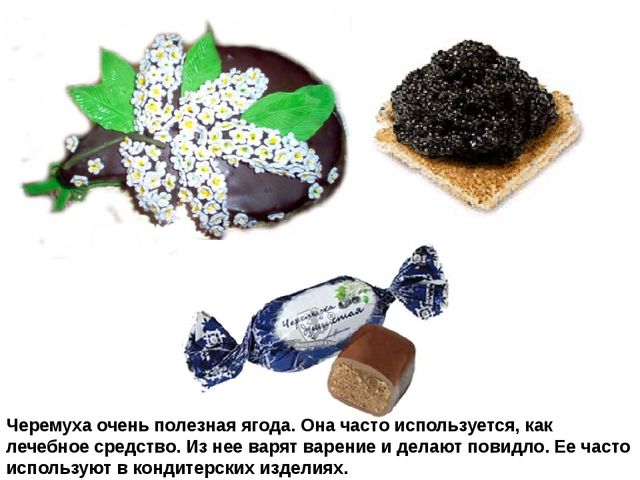 Мультимедийное пособие доя детей старшего дошкольного возраста. Тема: "Сад и огород"