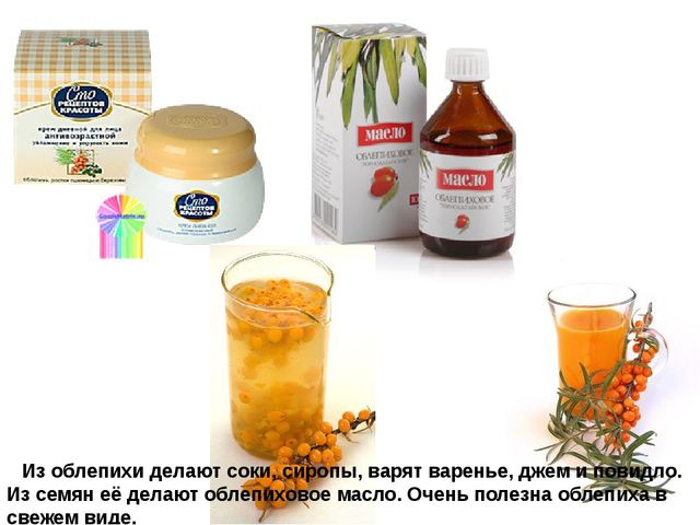 Мультимедийное пособие доя детей старшего дошкольного возраста. Тема: "Сад и огород"