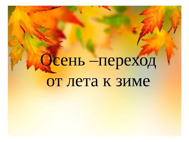 Презентация на тему "Здравствуй осень золотая" (средняя группа)