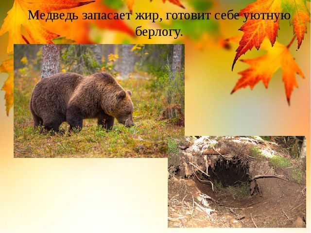 Презентация на тему "Здравствуй осень золотая" (средняя группа)