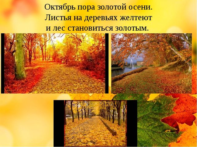 Презентация на тему "Здравствуй осень золотая" (средняя группа)