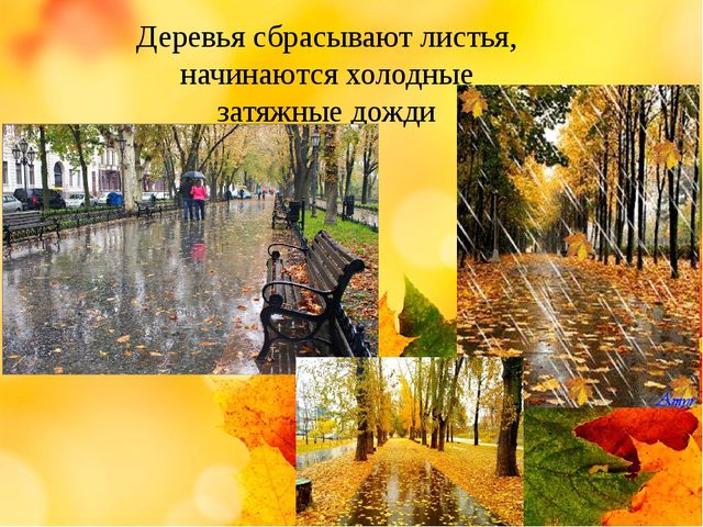 Презентация на тему "Здравствуй осень золотая" (средняя группа)