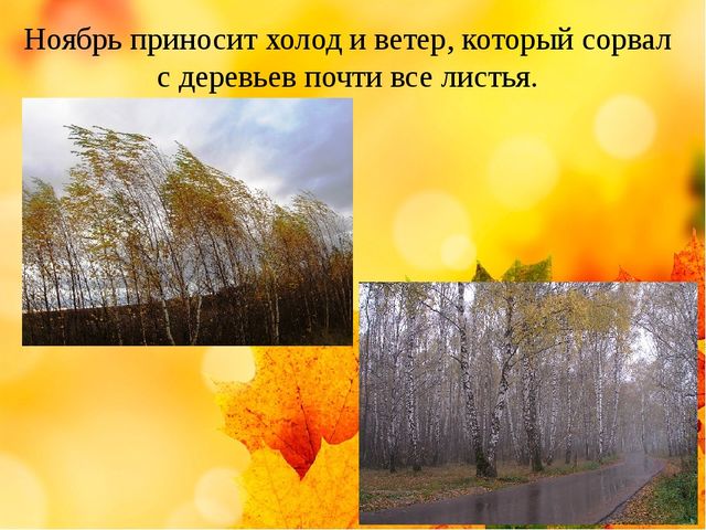 Презентация на тему "Здравствуй осень золотая" (средняя группа)