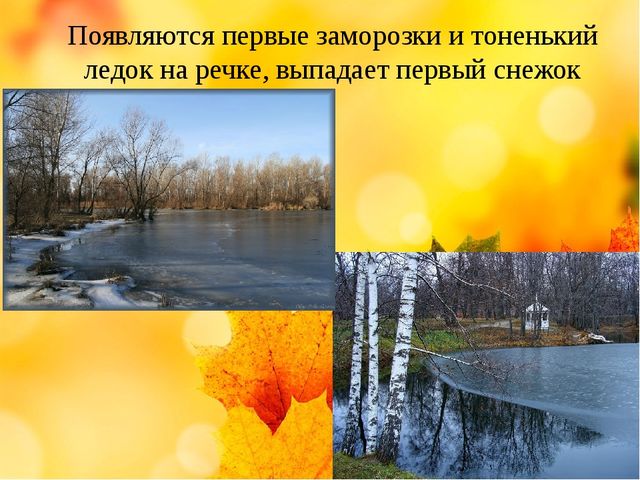 Презентация на тему "Здравствуй осень золотая" (средняя группа)