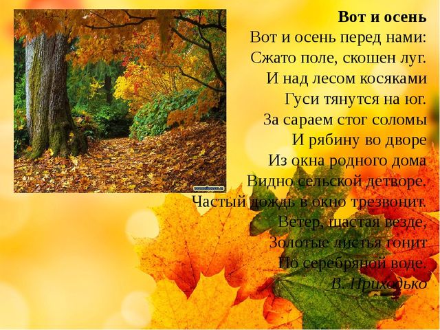 Презентация на тему "Здравствуй осень золотая" (средняя группа)