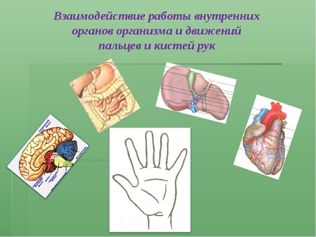Презентация - Пальчиковые игры