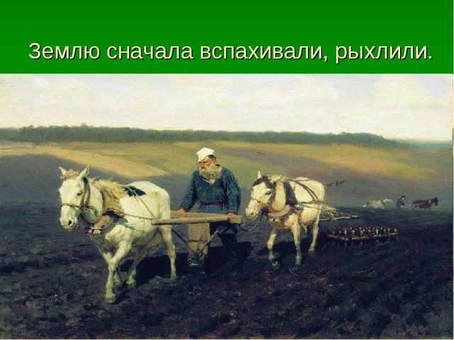 Презентация для детей средней группы о том как раньше хлеб выращивали.