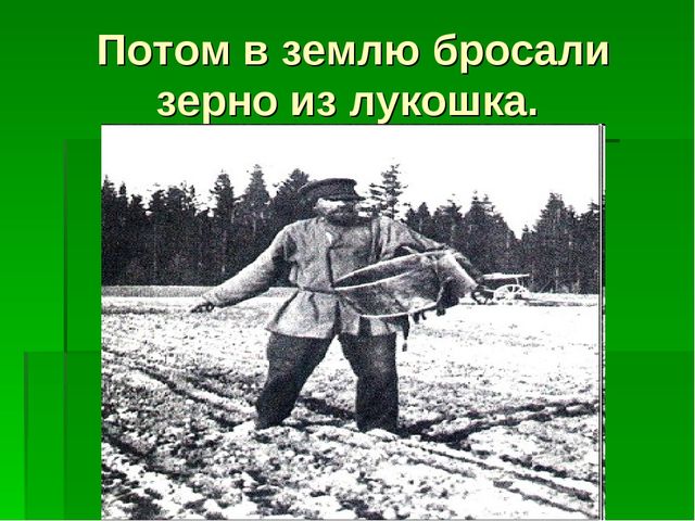 Презентация для детей средней группы о том как раньше хлеб выращивали.