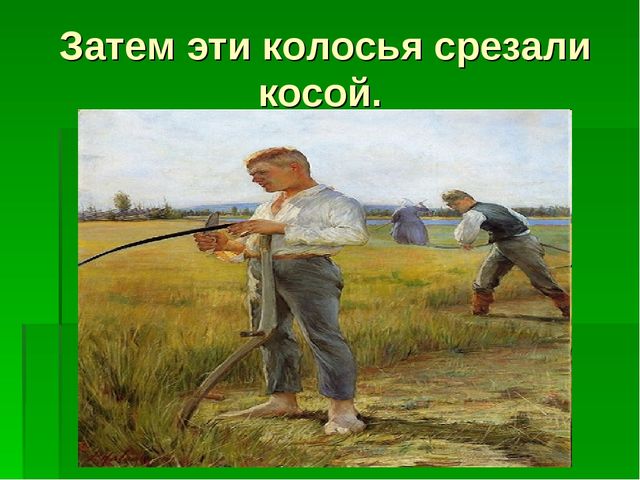 Презентация для детей средней группы о том как раньше хлеб выращивали.
