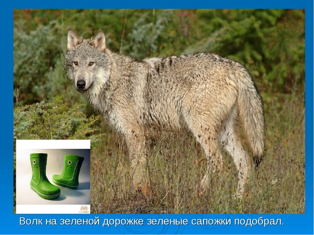 Презентация для детей младшей группы