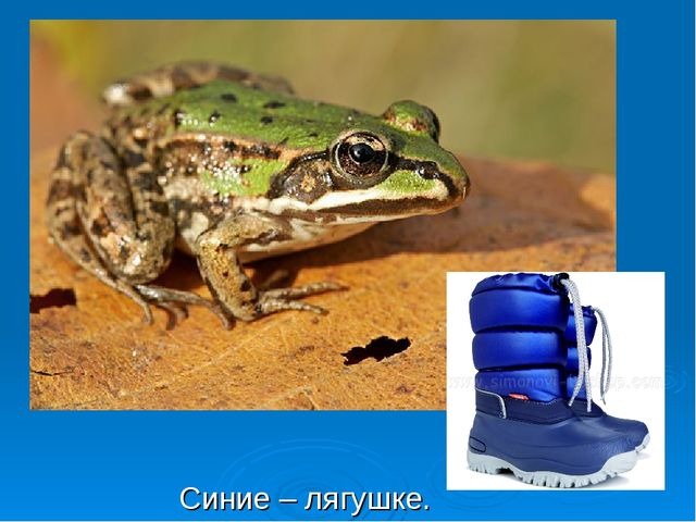 Презентация для детей младшей группы