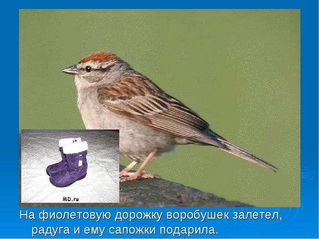Презентация для детей младшей группы