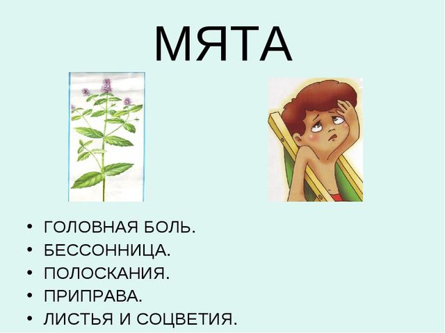 Презентация:"Лекарственные растения"для ст. и подг. гр.