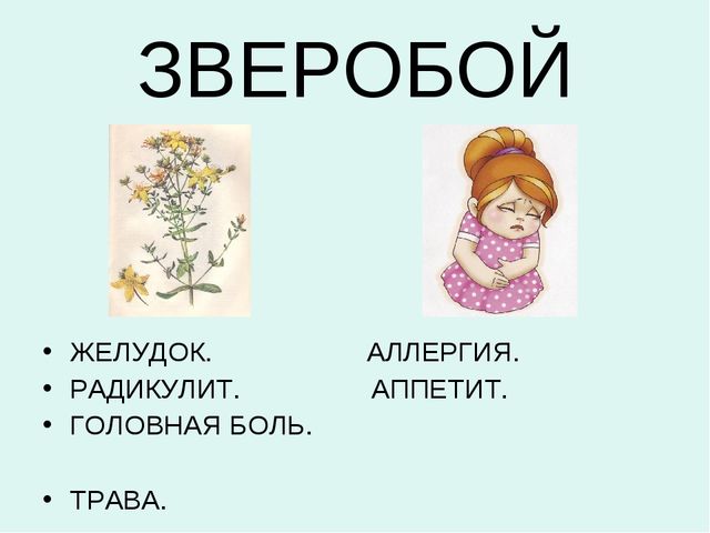 Презентация:"Лекарственные растения"для ст. и подг. гр.