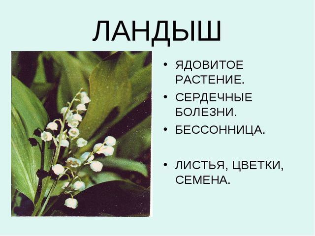 Презентация:"Лекарственные растения"для ст. и подг. гр.