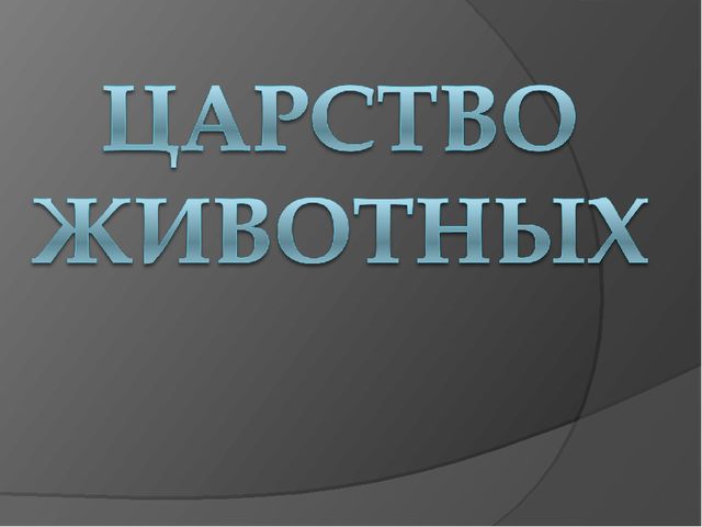 Презентация по окружающему миру на тему "Животные" средняя группа