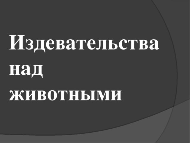 Презентация по окружающему миру на тему "Животные" средняя группа
