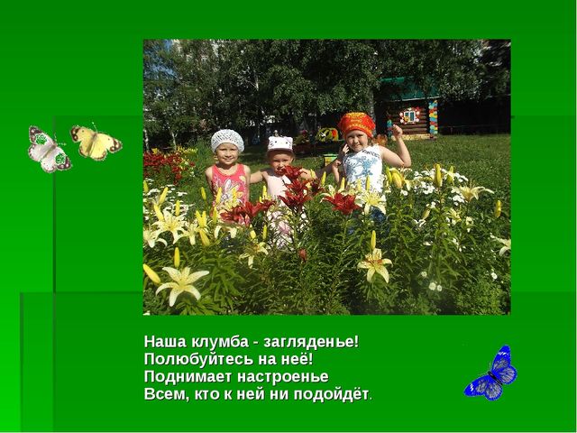 Презентация по познавательному развитию "Здравствуй, лето долгожданное"