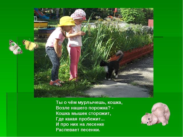 Презентация по познавательному развитию "Здравствуй, лето долгожданное"