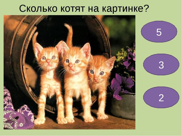 Мультимедийная презентация для детей старшего дошкольного возраста "Веселая математика"