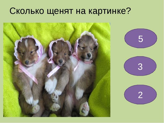 Мультимедийная презентация для детей старшего дошкольного возраста "Веселая математика"