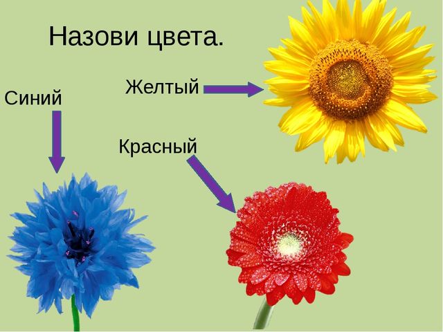 Мультимедийная презентация по ознакомлению с основами цветоведения. Дидактическая игра "Веселый цвет"