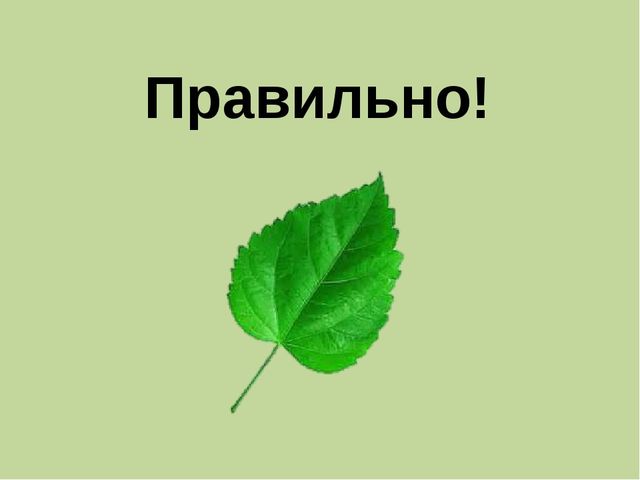 Мультимедийная презентация по ознакомлению с основами цветоведения. Дидактическая игра "Веселый цвет"