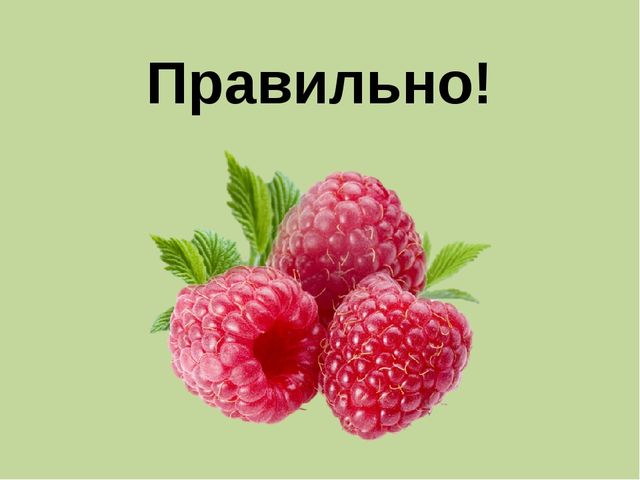 Мультимедийная презентация по ознакомлению с основами цветоведения. Дидактическая игра "Веселый цвет"
