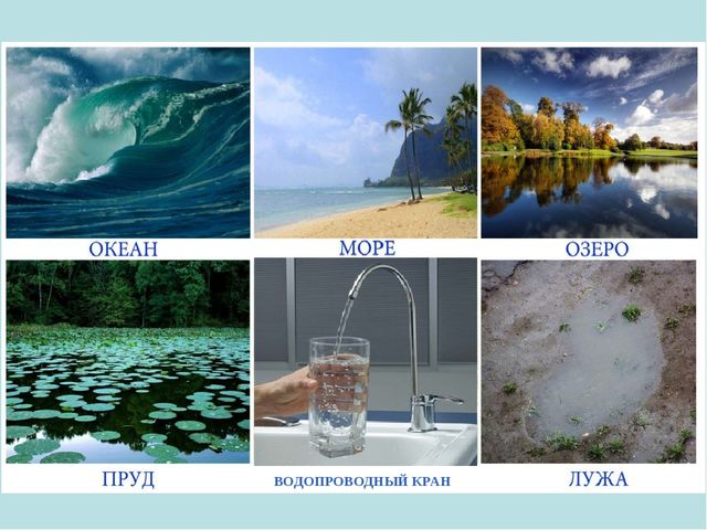 Презентация к открытому занятию "Фокусы с водой"