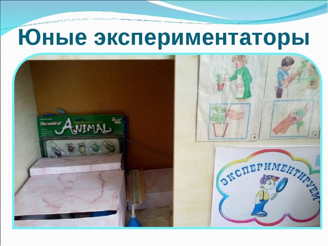 Формирование логического мышления у детей через развивающие игры
