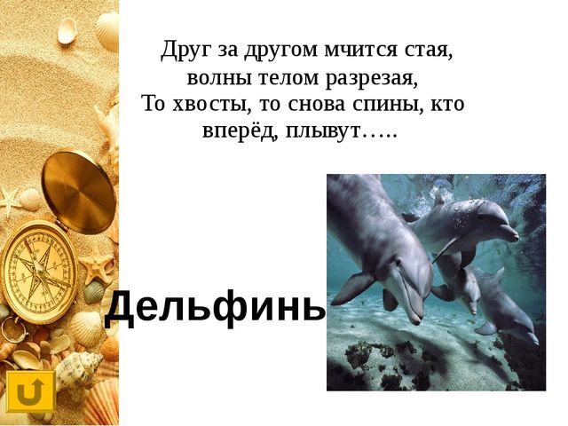 Интерактивная игра "Своя игра "Обитатели морей и океанов"