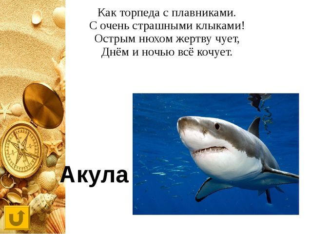 Интерактивная игра "Своя игра "Обитатели морей и океанов"