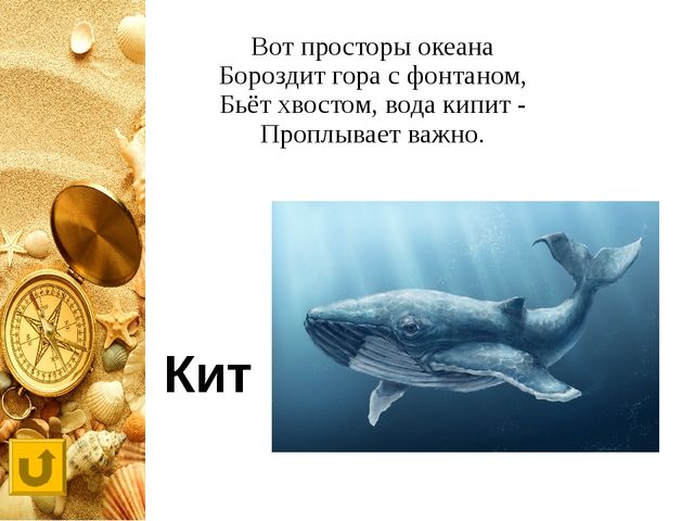 Интерактивная игра "Своя игра "Обитатели морей и океанов"
