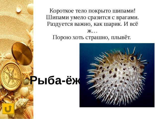 Интерактивная игра "Своя игра "Обитатели морей и океанов"