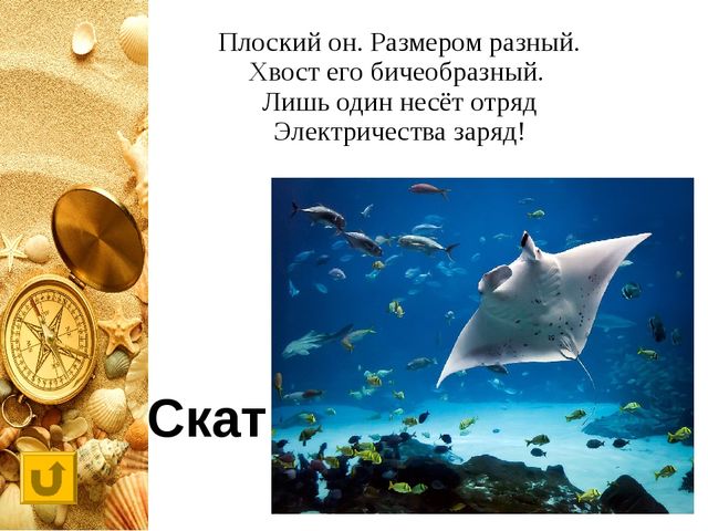Интерактивная игра "Своя игра "Обитатели морей и океанов"