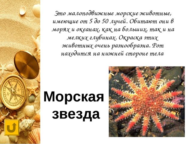 Интерактивная игра "Своя игра "Обитатели морей и океанов"