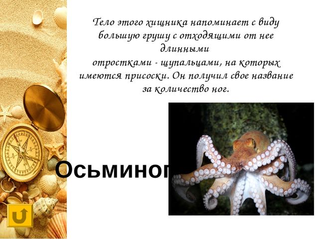Интерактивная игра "Своя игра "Обитатели морей и океанов"