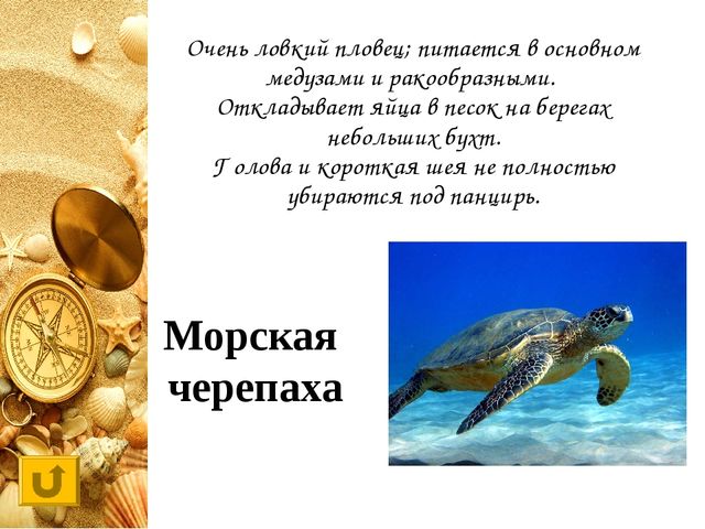 Интерактивная игра "Своя игра "Обитатели морей и океанов"