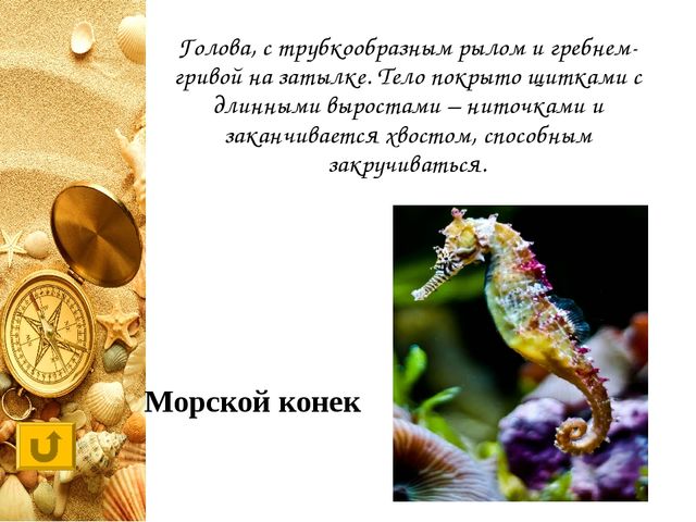 Интерактивная игра "Своя игра "Обитатели морей и океанов"