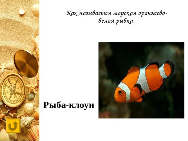 Интерактивная игра "Своя игра "Обитатели морей и океанов"