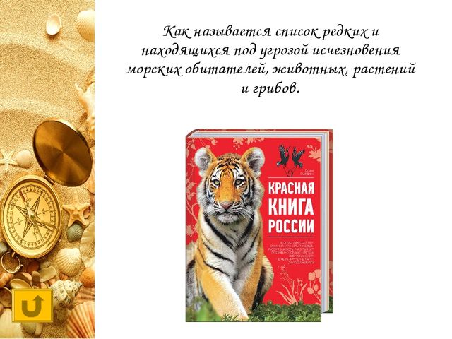 Интерактивная игра "Своя игра "Обитатели морей и океанов"