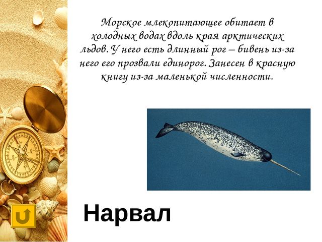 Интерактивная игра "Своя игра "Обитатели морей и океанов"