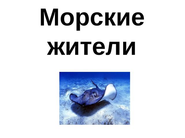 Занятие на тему "Морские животные'