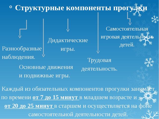 Презинтация на тему организация прогулок в ДОУ