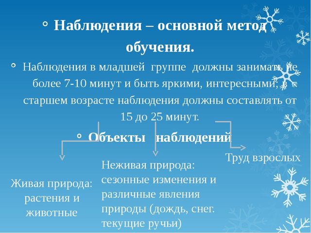 Презинтация на тему организация прогулок в ДОУ